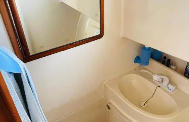 Romantic boat on the Tagus River - Foto 7