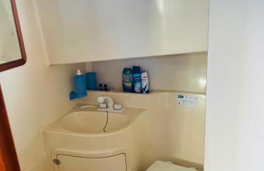 Romantic boat on the Tagus River - Foto 14