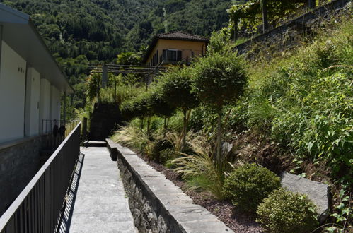 Photo 13 - Appartement en Centovalli avec piscine et jardin