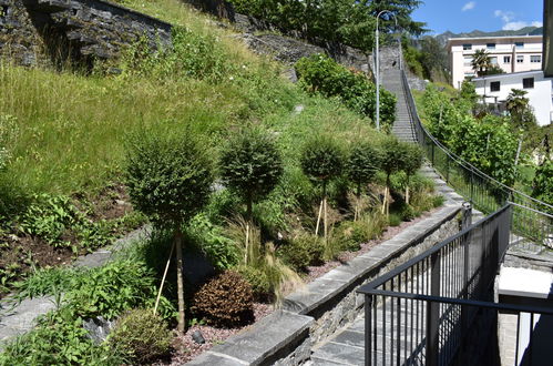 Photo 12 - Appartement en Centovalli avec piscine et jardin