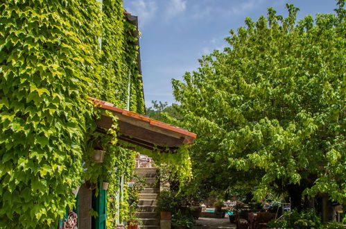 Foto 40 - Casa de 7 habitaciones en Cortona con piscina privada y jardín