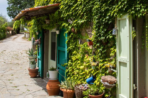 Photo 44 - Maison de 6 chambres à Cortona avec piscine privée et jardin