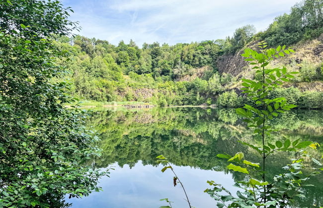 Casa de 1 quarto em Bad Marienberg (Westerwald) com terraço - Foto 26