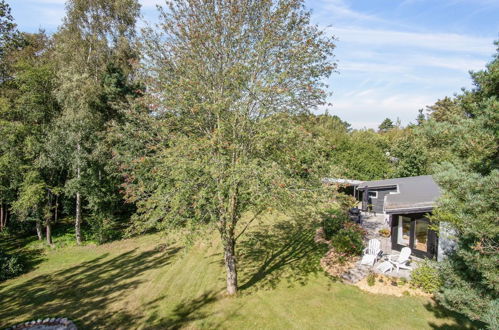 Photo 29 - Maison de 3 chambres à Ebeltoft avec terrasse