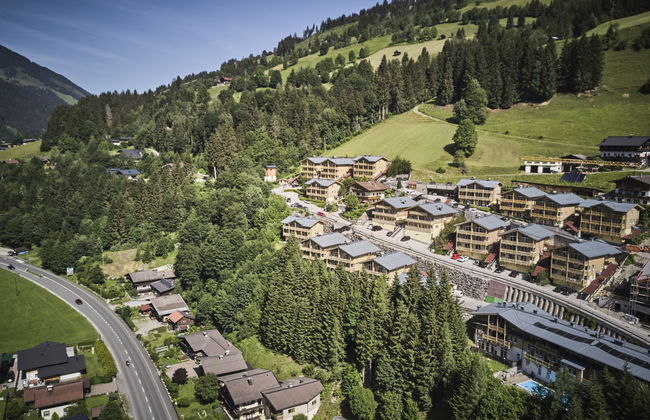 Apartment mit 1 Schlafzimmer in Viehhofen mit schwimmbad und garten - Foto 10