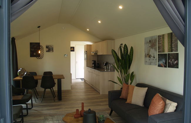 Casa de 3 quartos em Ruinen com piscina e terraço - Foto 2