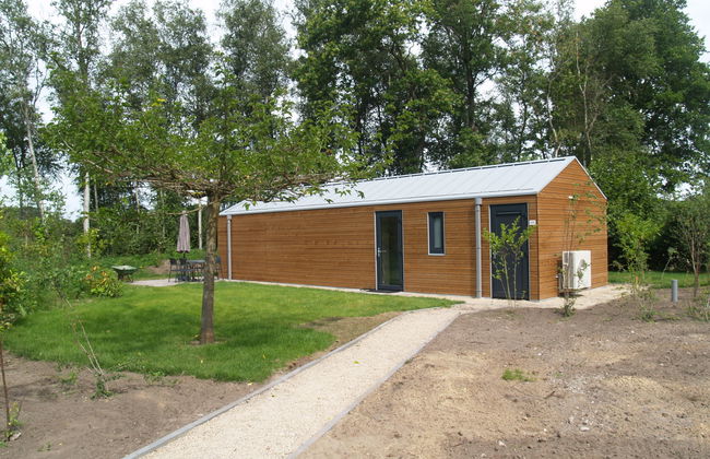 Casa de 3 quartos em Ruinen com piscina e terraço - Foto 6