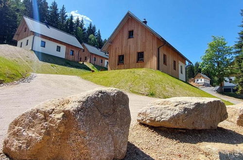 Foto 52 - Haus mit 2 Schlafzimmern in Smržovka mit garten und terrasse