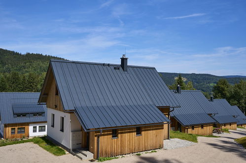 Foto 16 - Casa con 2 camere da letto a Smržovka con terrazza