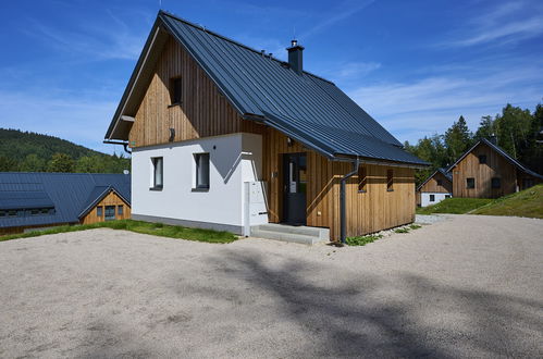 Foto 34 - Casa con 2 camere da letto a Smržovka con giardino e terrazza