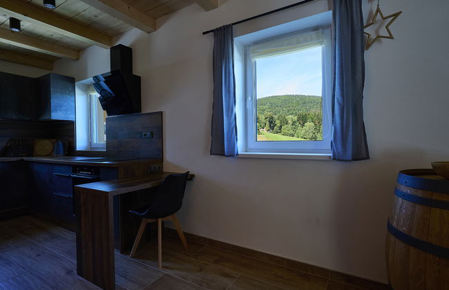 Casa de 2 quartos em Smržovka com jardim e terraço - Foto 16