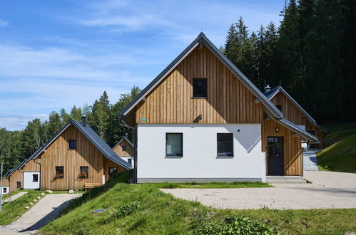 Foto 15 - Haus mit 2 Schlafzimmern in Smržovka mit terrasse