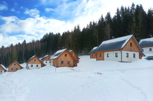 Foto 37 - Haus mit 2 Schlafzimmern in Smržovka mit garten und terrasse