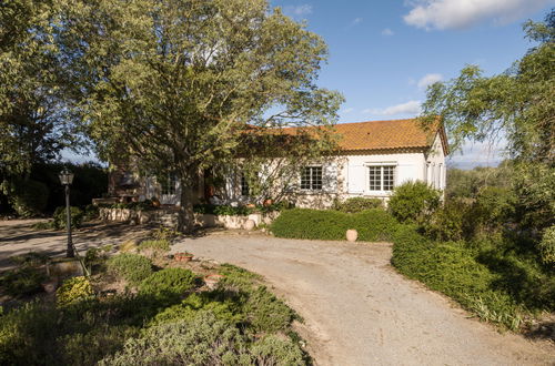 Foto 34 - Casa con 4 camere da letto a Béziers con piscina privata e giardino