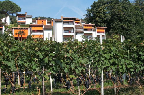 Foto 6 - Apartamento de 2 habitaciones en Capriasca con piscina y vistas a la montaña