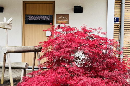 Foto 25 - Casa de 4 quartos em Altenmarkt im Pongau com jardim e terraço