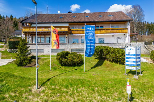 Photo 34 - Maison de 15 chambres à Bayerisch Eisenstein avec terrasse