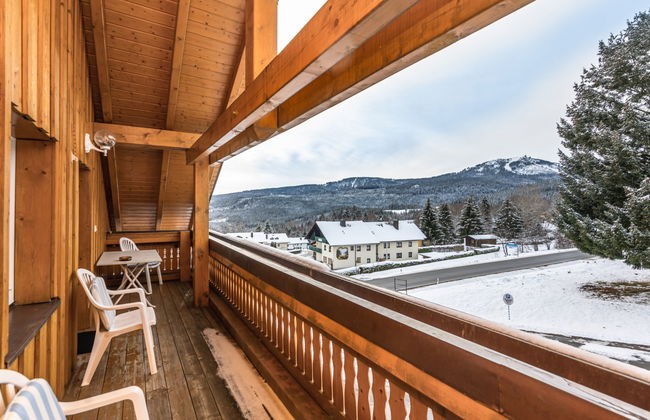 Casa de 16 quartos em Bayerisch Eisenstein com terraço - Foto 17