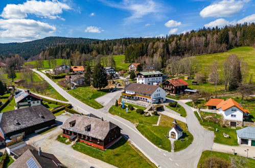 Foto 5 - Casa de 15 quartos em Bayerisch Eisenstein com terraço