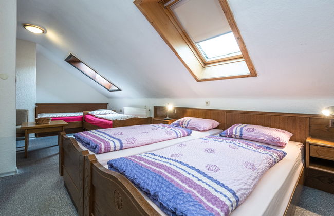 Casa de 16 quartos em Bayerisch Eisenstein com terraço - Foto 13