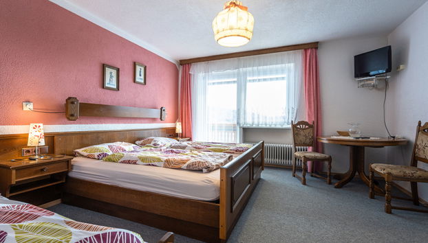 Haus mit 16 Schlafzimmern in Bayerisch Eisenstein mit terrasse - Foto 4