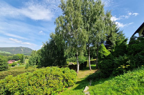 Photo 24 - Maison de 5 chambres à Smržovka avec jardin