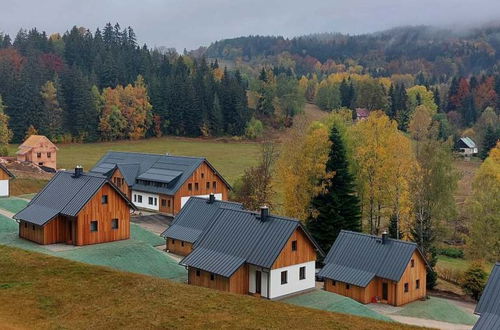 Foto 58 - Haus mit 2 Schlafzimmern in Smržovka mit garten und terrasse