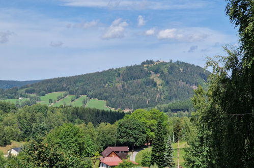 Foto 49 - Haus mit 5 Schlafzimmern in Smržovka mit garten