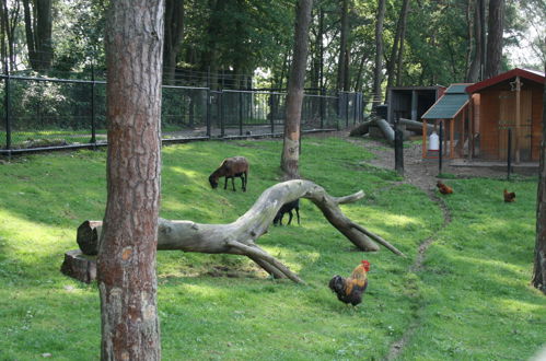 Foto 7 - Casa de 3 quartos em Brunssum com terraço