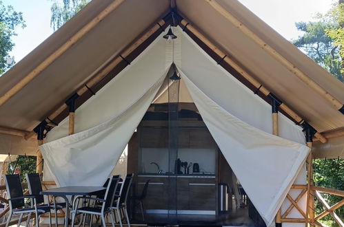 Photo 3 - Maison de 1 chambre à IJhorst avec piscine et terrasse