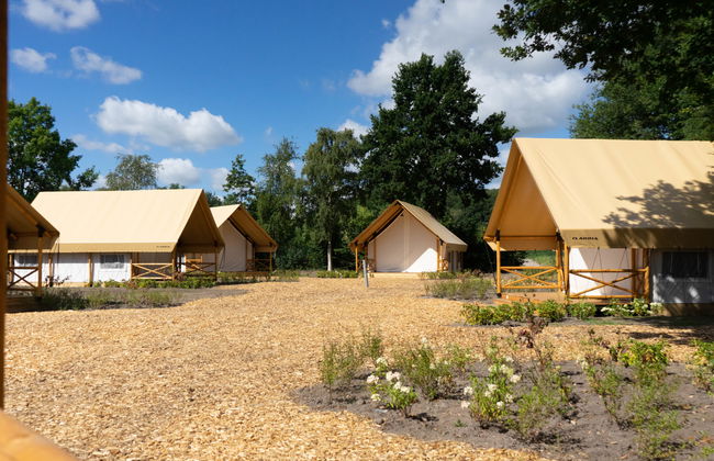 Maison de 3 chambres à Kaatsheuvel avec piscine et terrasse - Photo 14