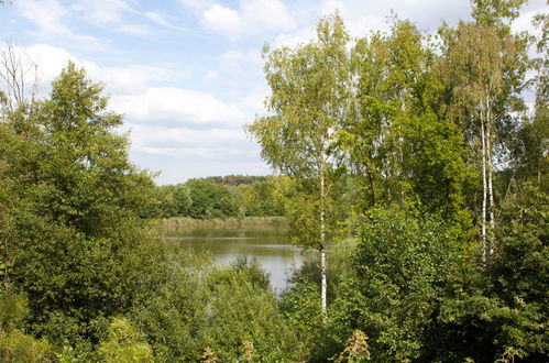 Foto 14 - Haus mit 2 Schlafzimmern in Belfeld mit schwimmbad und terrasse