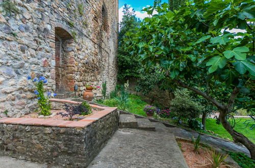 Photo 52 - Appartement de 1 chambre à Sovicille avec jardin