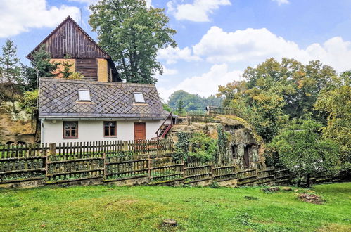 Foto 46 - Haus mit 1 Schlafzimmer in Vidim