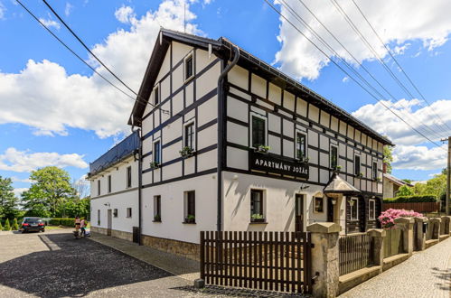 Photo 7 - Appartement en Arnoltice avec jardin et terrasse