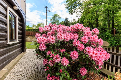 Photo 22 - Appartement en Arnoltice avec jardin et terrasse