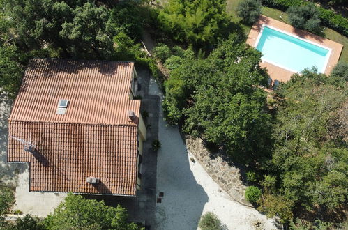 Foto 30 - Casa de 4 quartos em Magione com piscina privada e jardim