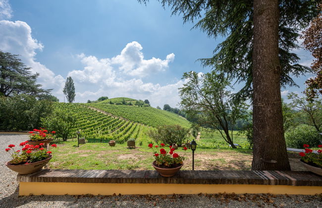 Haus mit 3 Schlafzimmern in Castel Rocchero mit garten - Foto 33
