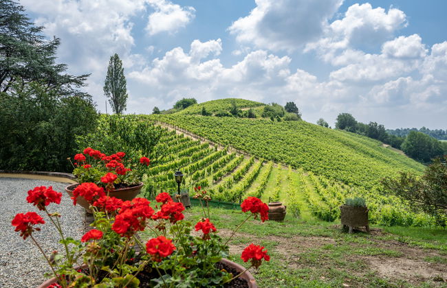 Haus mit 3 Schlafzimmern in Castel Rocchero mit garten - Foto 37