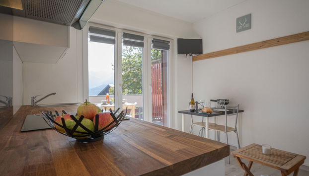 Apartamento de 1 quarto em Leytron - Foto 3