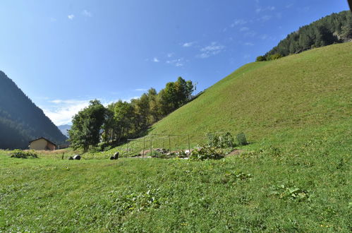 Foto 6 - Appartamento con 2 camere da letto a Tartano con giardino e vista sulle montagne