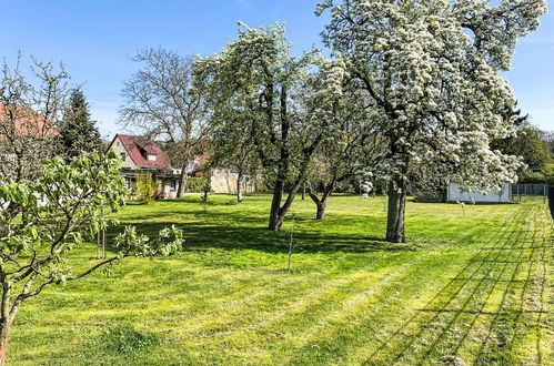 Foto 6 - Appartamento con 1 camera da letto a Koserow con giardino e vista mare