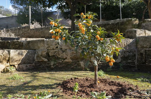 Photo 7 - Appartement de 2 chambres à Morciano di Leuca avec jardin et vues à la mer