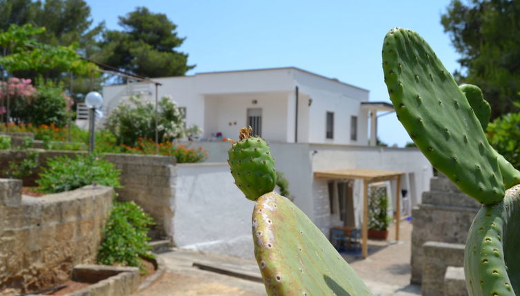 Foto 1 - Apartamento de 1 quarto em Morciano di Leuca com jardim