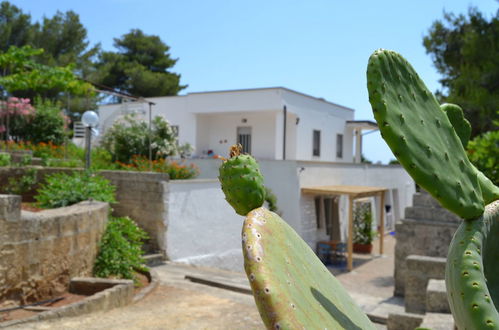 Photo 1 - Appartement de 1 chambre à Morciano di Leuca avec jardin