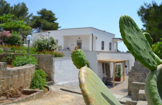 Foto 1 - Appartamento con 1 camera da letto a Morciano di Leuca con giardino