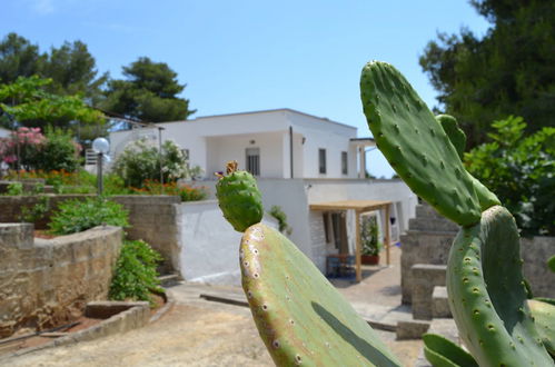 Photo 29 - Appartement de 1 chambre à Morciano di Leuca avec jardin et vues à la mer