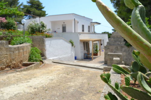 Foto 26 - Apartamento de 1 habitación en Morciano di Leuca con jardín y vistas al mar