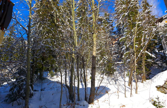 Apartamento de 3 quartos em Crans-Montana - Foto 44
