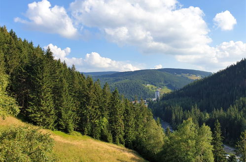 Foto 56 - Haus mit 7 Schlafzimmern in Svoboda nad Úpou mit garten